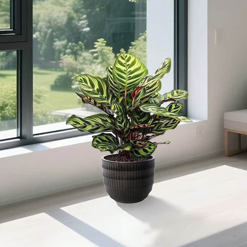 Anmytek Ceramic Planter Set of 4 with Drainage for Indoor Outdoor