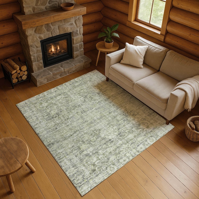 Premium Washable Super Soft Vintage Traditional Mayfield Rug - Aloe - 2'6" x 3'10"