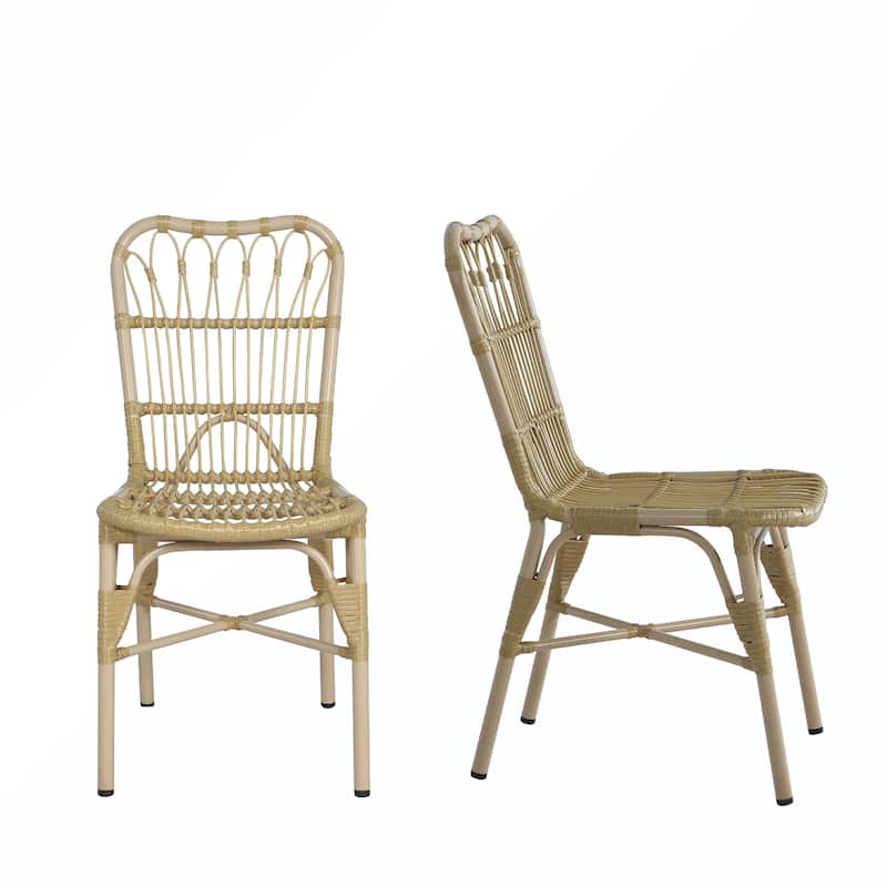 2PCS PE Dining Chairs