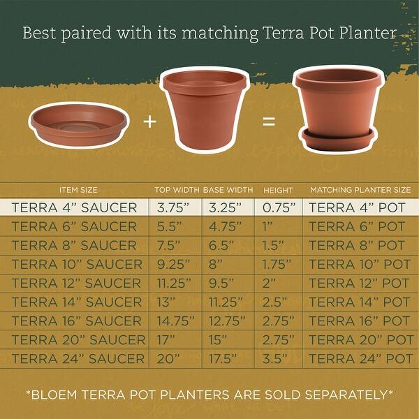 Bloem Terra Pot Planter 20