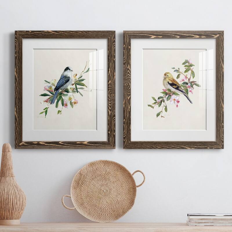 Spring Song Gray Jay-Premium Framed Print - Ready to Hang