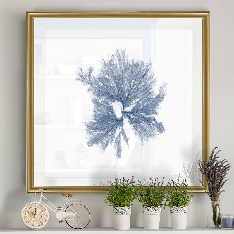 Navy Seaweed III -Black Framed Print