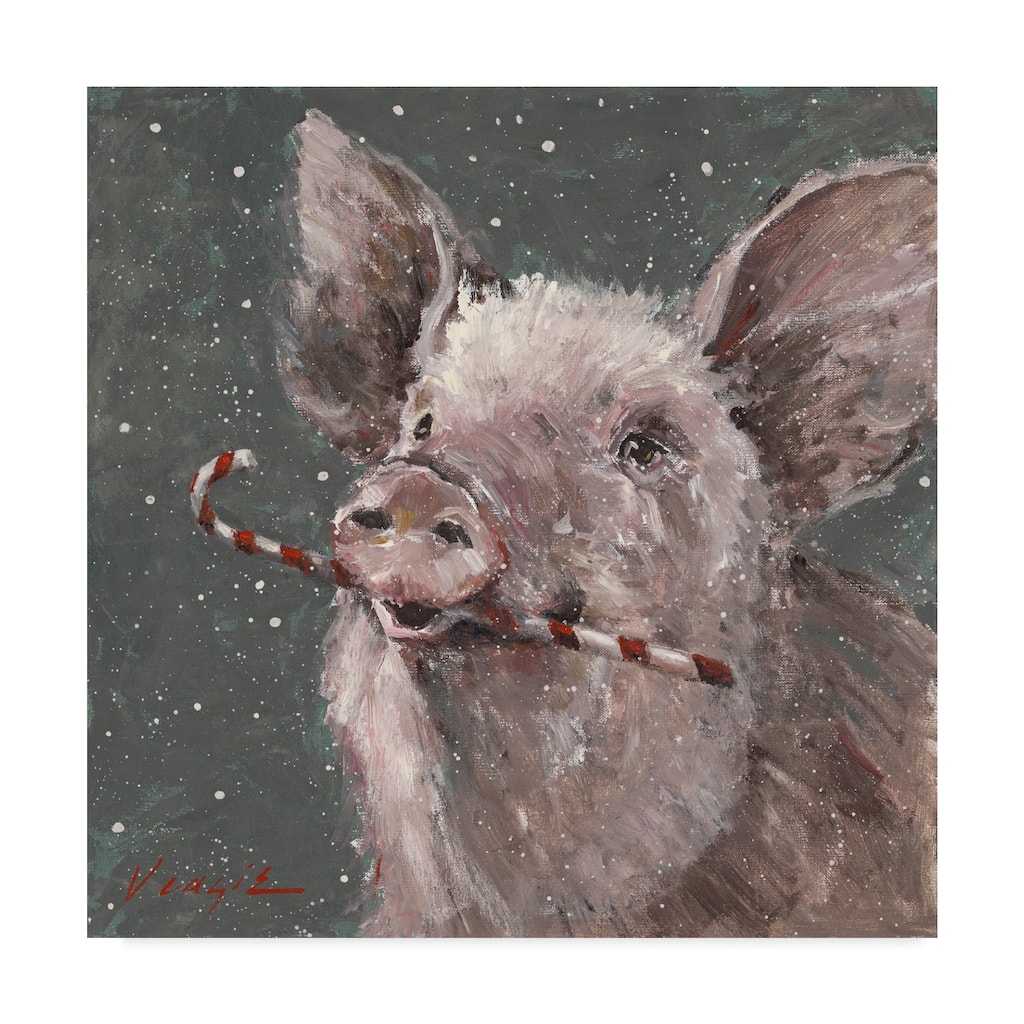 Mary Miller Veazie 'Teri The Christmas Pig' Canvas Art