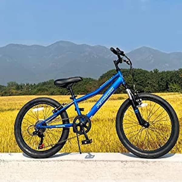 klapprad mobilist Ness Icon Folding Electric Bike – Electric Bike Revolution Category:E Bike City / Urban_Hydraulische Magura HS11 Felgenbremsen Hand assembled in the Schrank & Aufbewahrungssysteme für Color:Charcoal/Orange