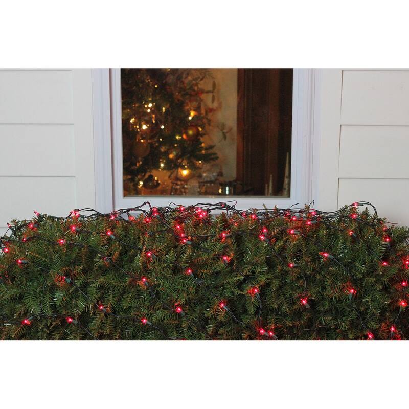4' x 6' Red Mini Incandescent Net Style Christmas Lights Green Wire