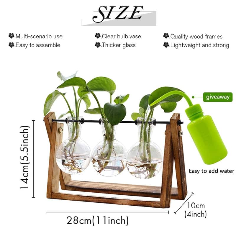 Plant Terrarium with Wooden Stand - 11"L x 4"W x 5.5"H