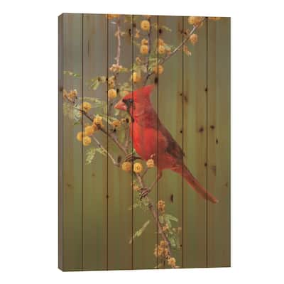 Northern cardinal perched. Print On Wood by Larry Ditto - Multi-Color