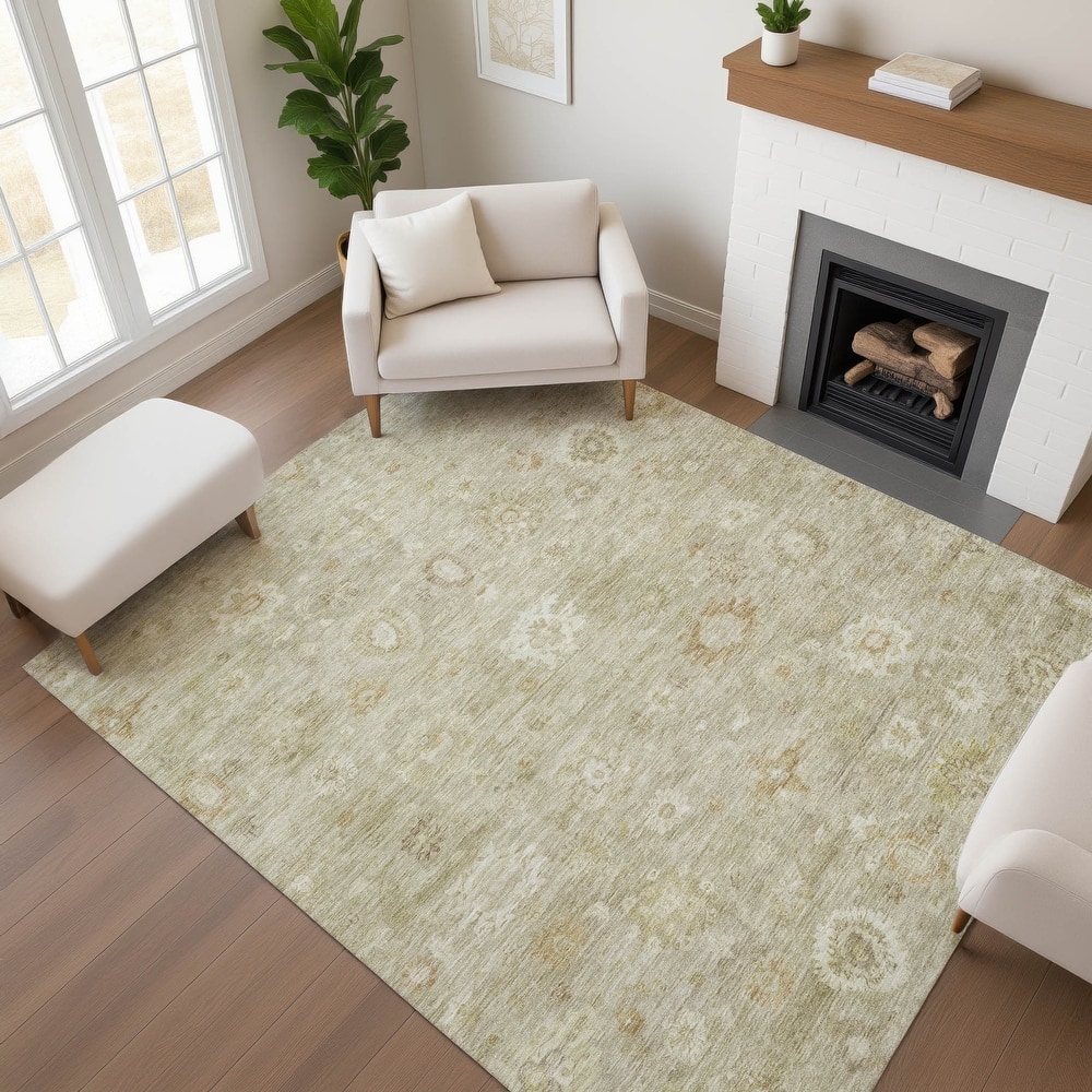 Premium Washable Super Soft Vintage Traditional Mayfield Rug