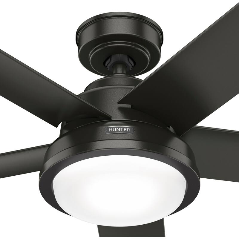 Hunter 52" Seawall Outdoor Ceiling Fan with LED Light Kit, Wall Control - Wet Rated!