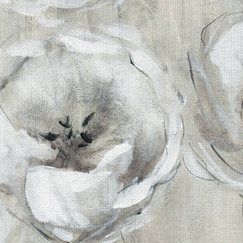 Sketchy Tulips White by Galaxy of Graphics Canvas Art Print