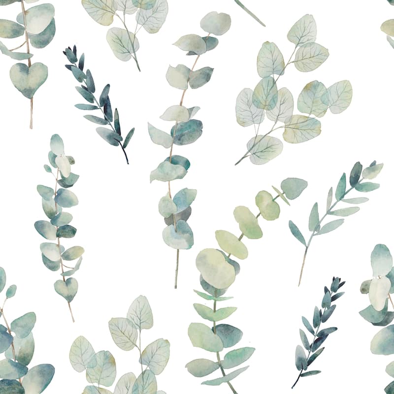 Watercolo Eucalyptus Branches Peel and Stick Wallpaper - 24'' W x 10' L