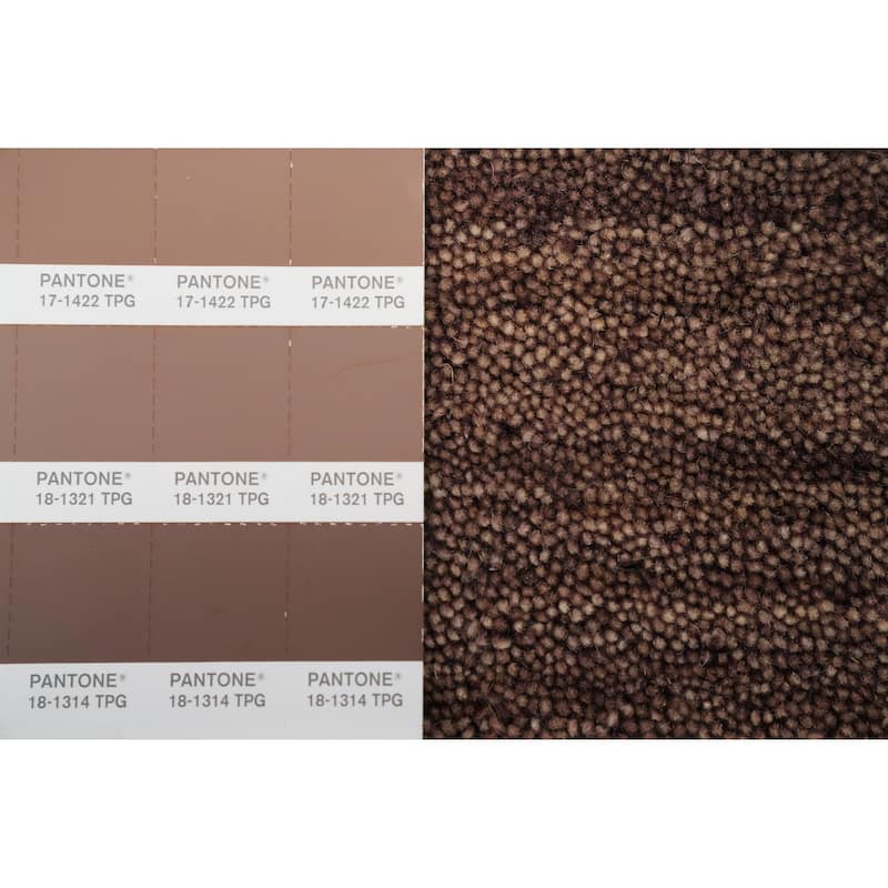 Hand Knotted Oriental 100% Wool Carpet Tribal Animal Pictorial Brown Gabbeh Area Rug - 7' 3'' X 5' 2''