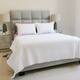 Option White