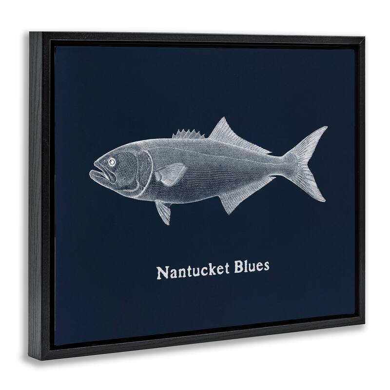 Stupell Nantucket Blues Fish Framed Floater Canvas Wall Art Design By Phillipa Katz