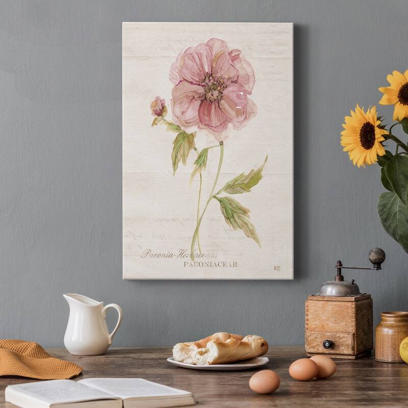 Soft Peony Premium Gallery Wrapped Canvas - Ready to Hang