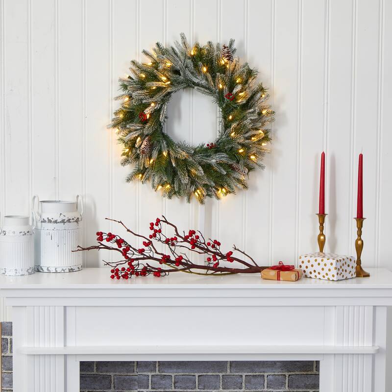 24" Snowed Christmas Wreath with 50 Warm White LED Lights