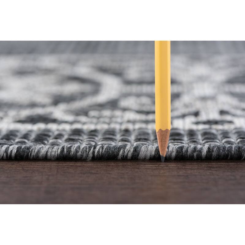 Colonnade Traditional Border Indoor/Outdoor Area Rug