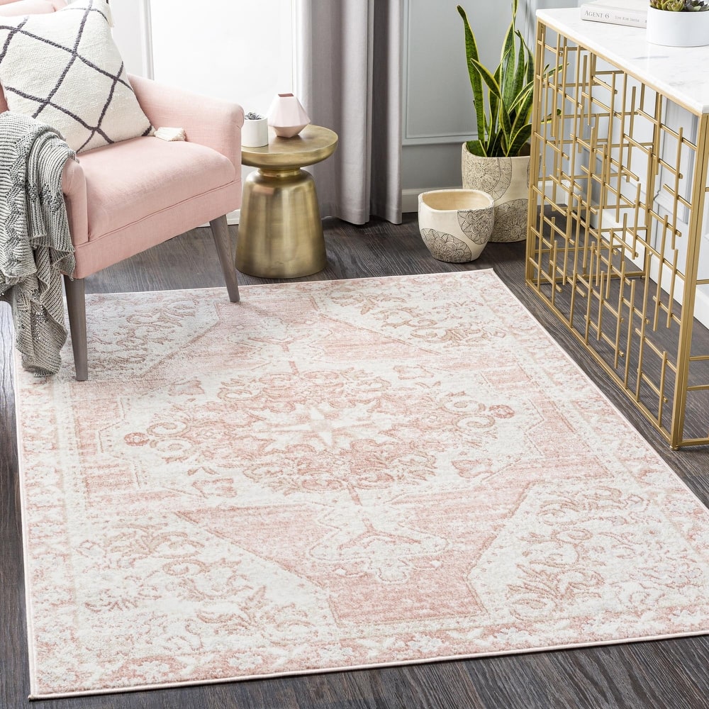 Livabliss St Tropez Updated Traditional Medallion Area Rug.