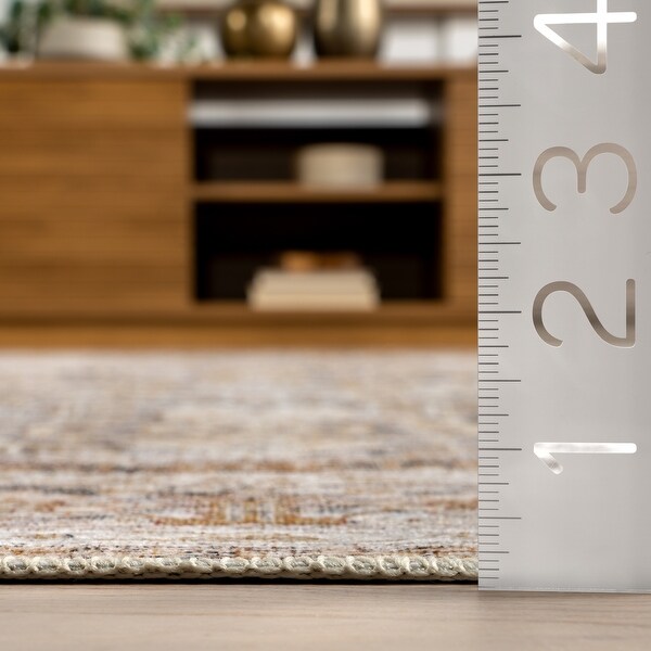 Nuloom Anise Antique Floral SplashGuard Machine Washable Area Rug