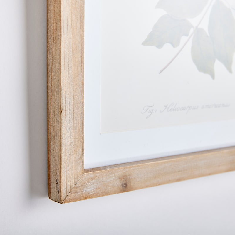 Flora And Fauna Gallery Prints