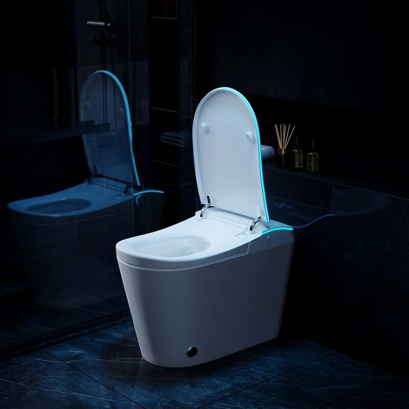 Smart Toilet with Bidet, Heated Seat, Auto Flush, Warm Air Dryer, Night Light, One-Piece Intelligent Toilet 220 lbs Capacit