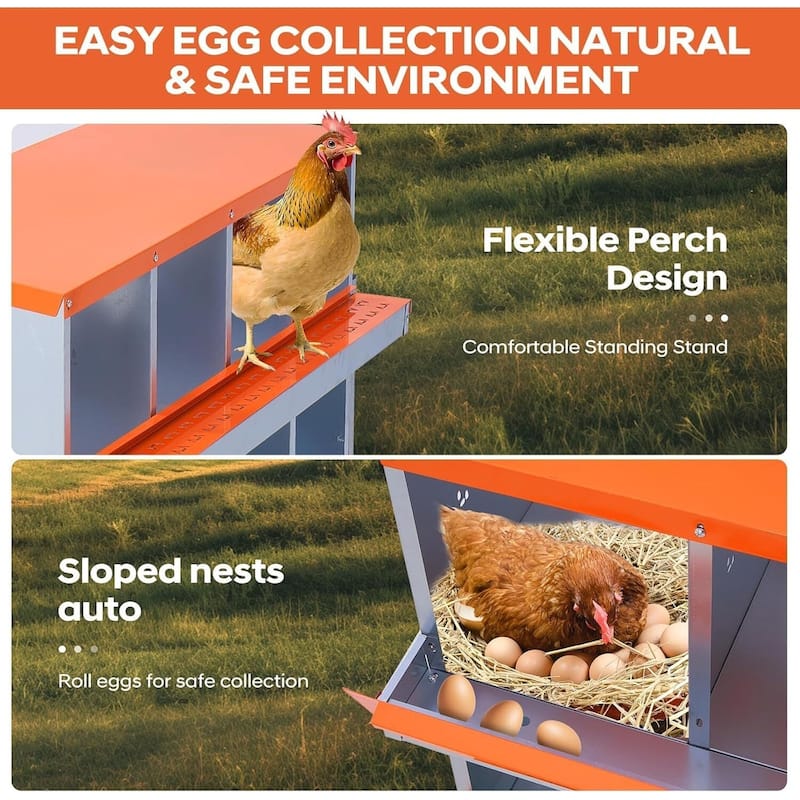 10 Compartment Nesting Box, Chicken Laying Box, with Bracket Legs, Easy to Clean and Install