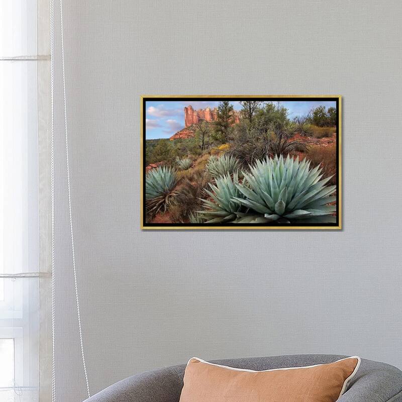 iCanvas "Agave And Coffee Pot Rock Near Sedona, Arizona" by Tim Fitzharris Framed Canvas Print