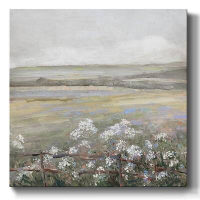 Soft Summer Meadow II-Gallery Wrapped Canvas