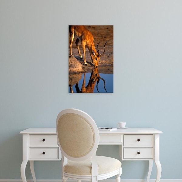 Easy Art Prints Paul Souders's 'Chobe National Park Bull Impala' Premium Canvas Art