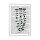 preview thumbnail 7 of 7, iCanvas "Italian Carnation VI" by Fab Funky Framed White - 26x18