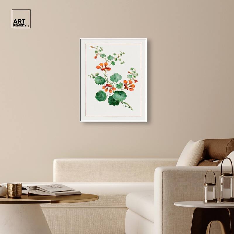 Nasturtium (1788) Canvas by Art Remedy