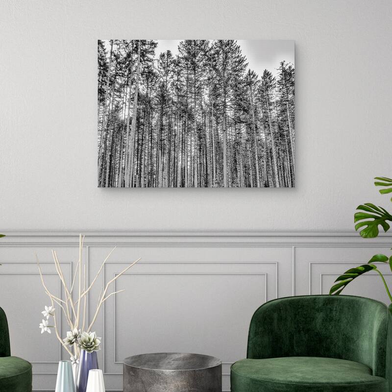 The Forest by Sossi Madzounian Canvas Art Print