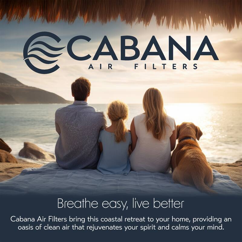 Cabana Air Filters 6 Pack HVAC Furnace Air Filters, MERV 11, 20 x 30 x 1, White - 1.02