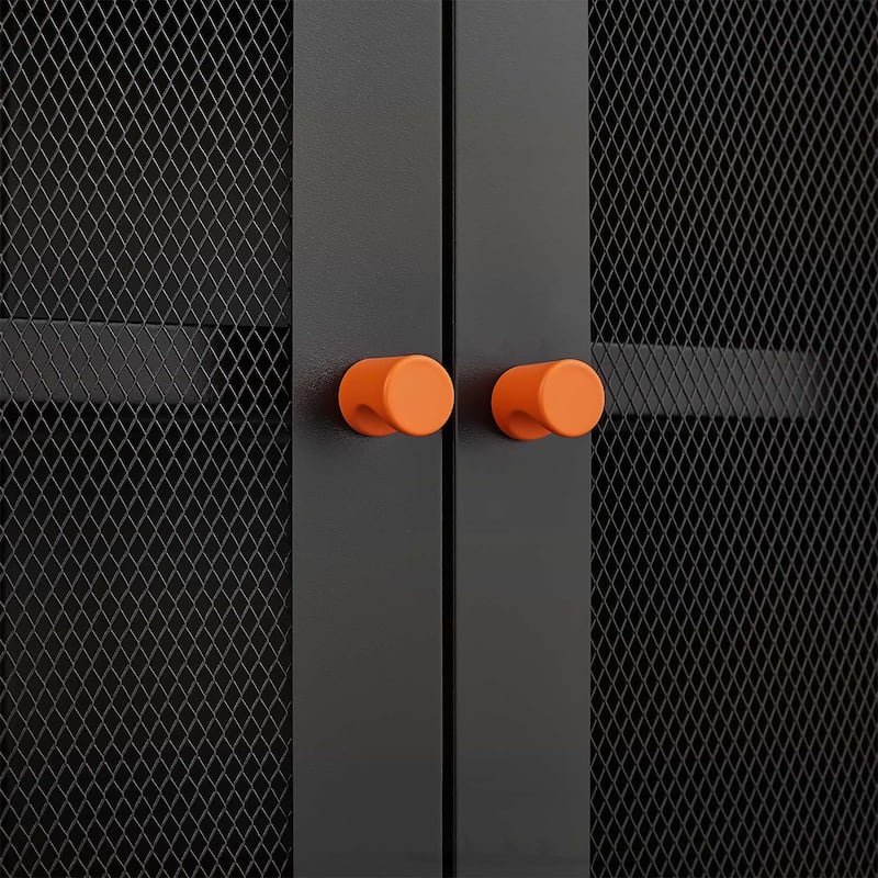 Modern Minimalist Double Door Shoe Cabinet
