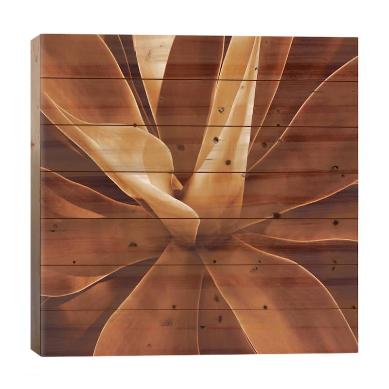 Santa Fe II Print On Wood by Caroline Kelly - Multi-Color - 26x26x1.5