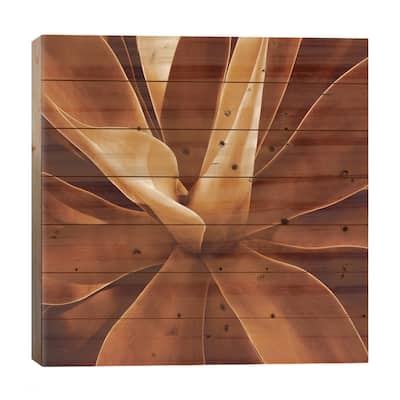 Santa Fe II Print On Wood by Caroline Kelly - Multi-Color