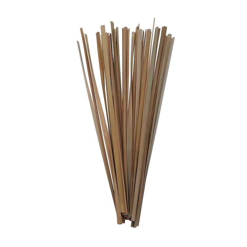 Dried Hogla Babala Bamboo Natural Foliage Collection - Multiple Colors