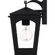 preview thumbnail 3 of 5, Huck 1-Light Earth Black Outdoor Wall Lantern