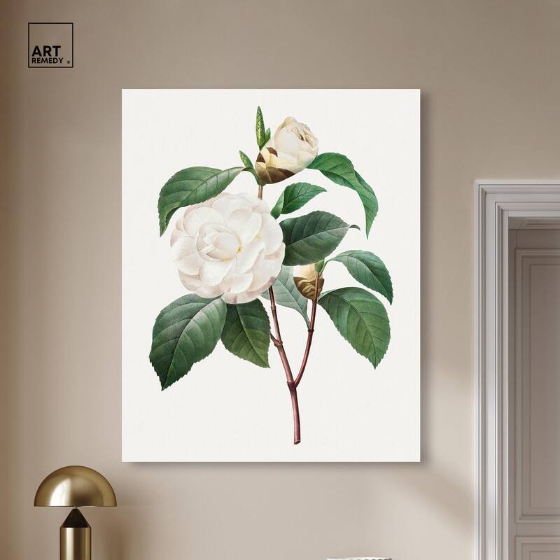 White Camellia Canvas by Art Remedy, Gallery Wrapped