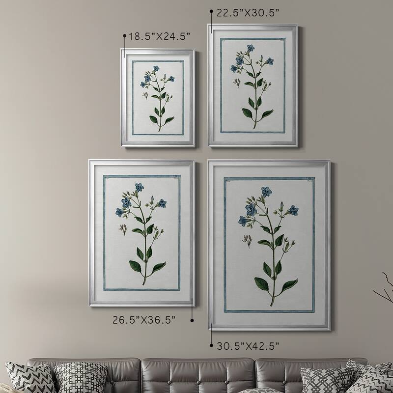 Shabby Chic Botanical II Premium Framed Print - Ready to Hang