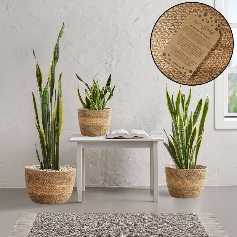 Set of 3 Seagrass Planter Baskets Natural Flower Pot Covers w Liners