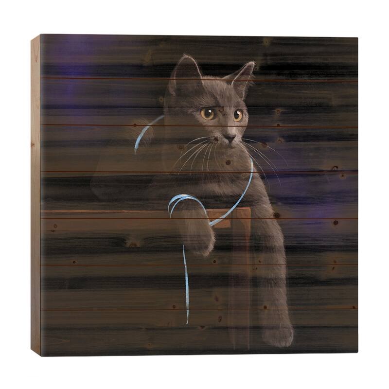 Cat Playing With A Blue Ribbon Print On Wood by Thomas Little - Multi-Color - 26x26x1.5