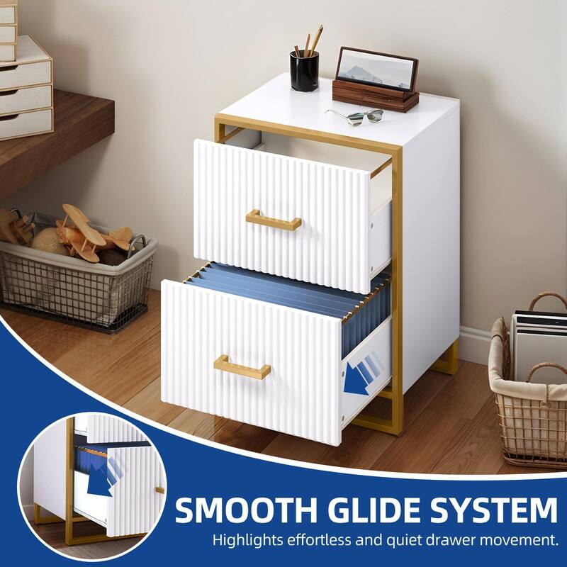 Moasis 2 Drawer File Cabinet with Gold Frame Filing Cabinet for Letter Size Printer Stand