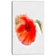 preview thumbnail 2 of 8, Designart "Large Red Poppy on White Back" Flower Artwork on Canvas