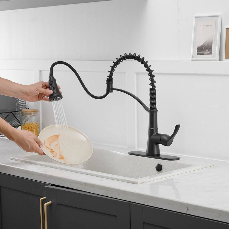 WIZ Single Handle Pull-Down Sprayer Kitchen Faucet Bundle Glass Rinser