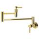 Option Polished Brass