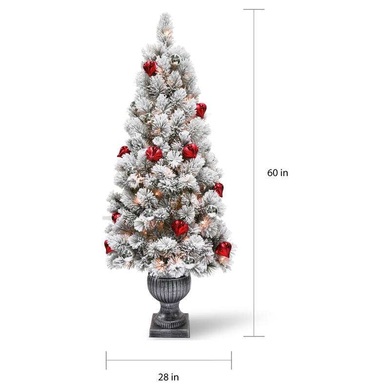 National Tree Company 5 ft. Snowy Bristle Entrance Pine Tree with Clear Lights - 5 Foot