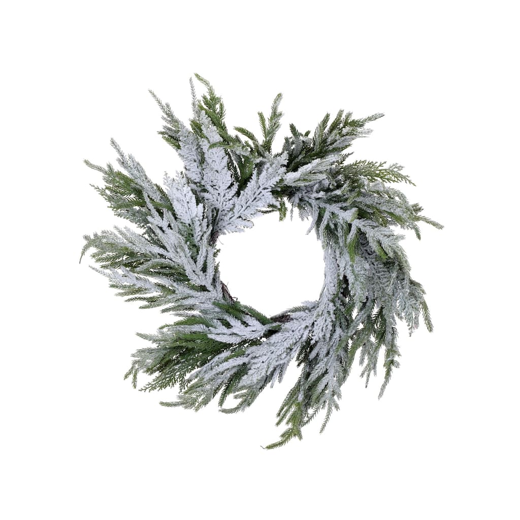 Flocked Norfolk Pine Artificial Christmas Wreath, 16-Inch, Unlit