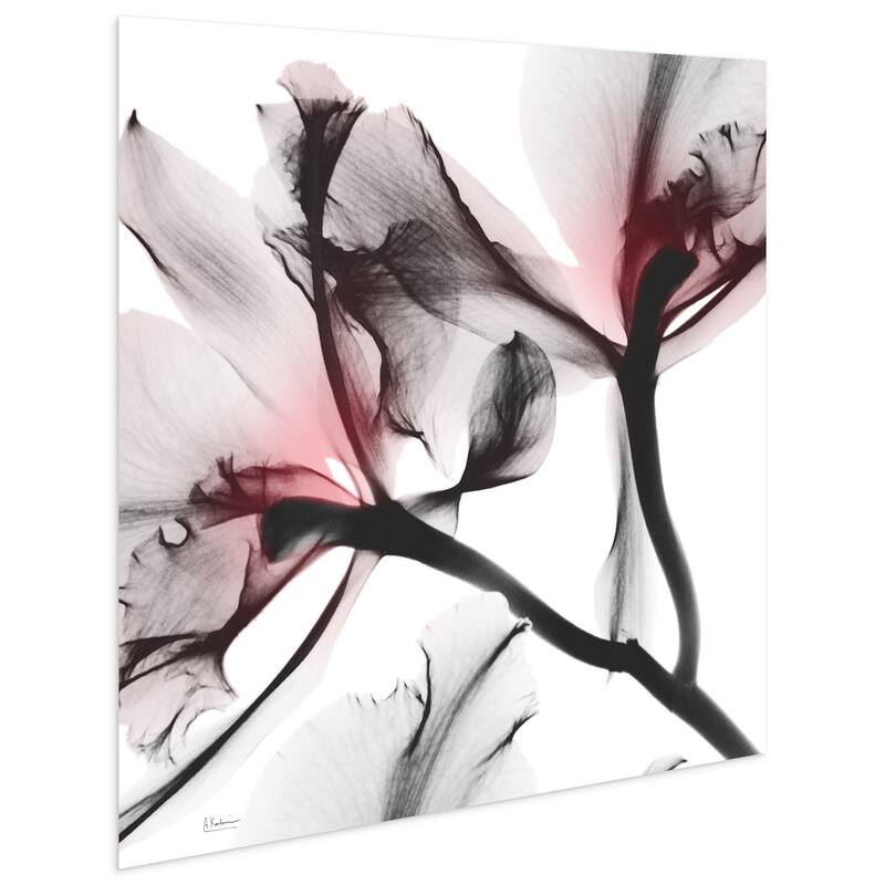 "Coral Luster 2" Frameless Free Floating Tempered Glass Panel Graphic Wall Art