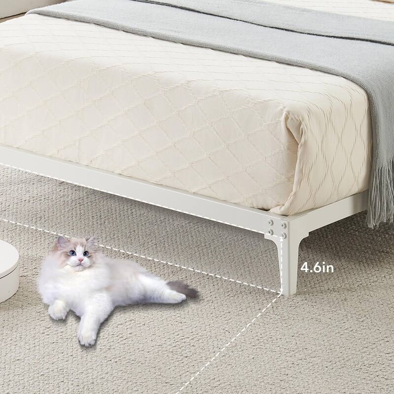 Metal Bed Frame, Low Platform Bed Frames